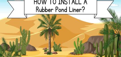 How to Install a Rubber Pond Liner